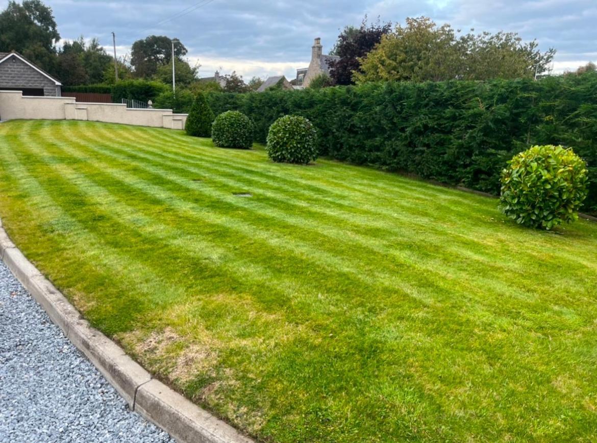 Beldorny Villa Kingston  Bagian luar foto